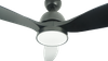 Airbena IP44 Outdoor indoor waterproof ceiling fan Remote control with light