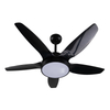 Hot Sale Indoor Ceiling Fan Lamp with Remote Control